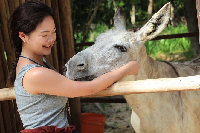 Horseback Riding and Cenote Swim From Cancun or Playa Del Carmen - Jungle Exploration and Cultural Learning