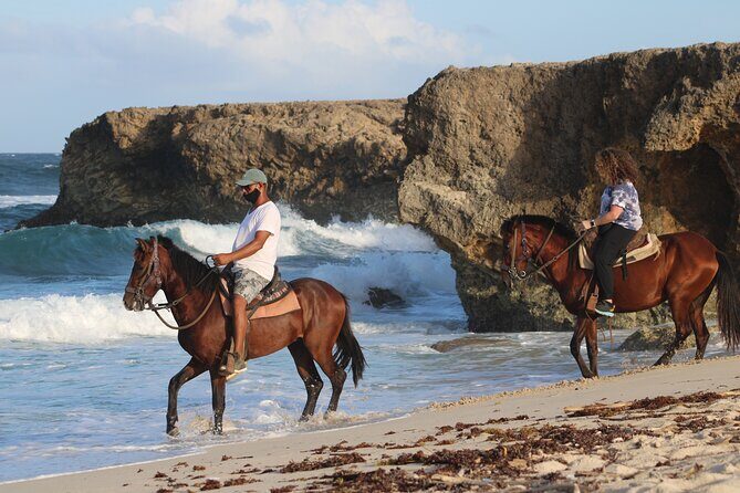 Horseback Riding and Natural Pool Adventure in Aruba - Key Points