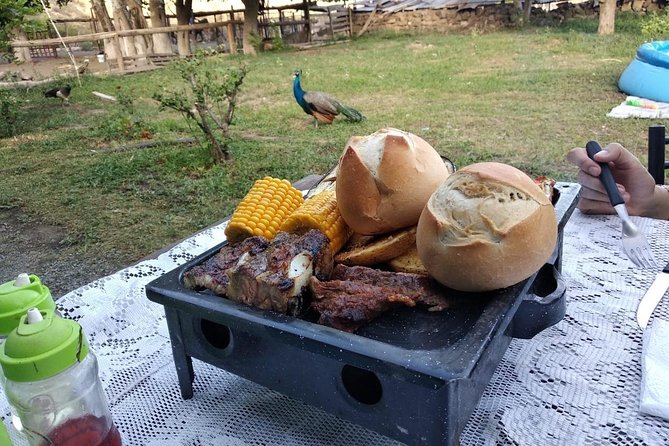 Horseback Riding and Roast in the Mountains of Mendoza - Meeting and Pickup Logistics