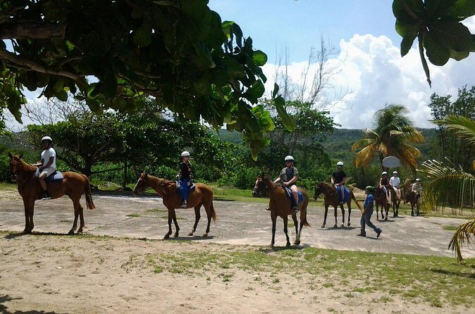 Horseback Riding and Swim from Montego Bay - An In-Depth Look at the Tour Experience