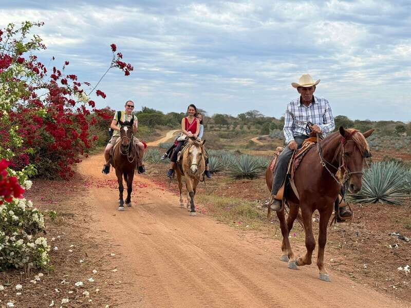 Horseback riding and Temazcal combo with lunch and mezcal - Final Thoughts