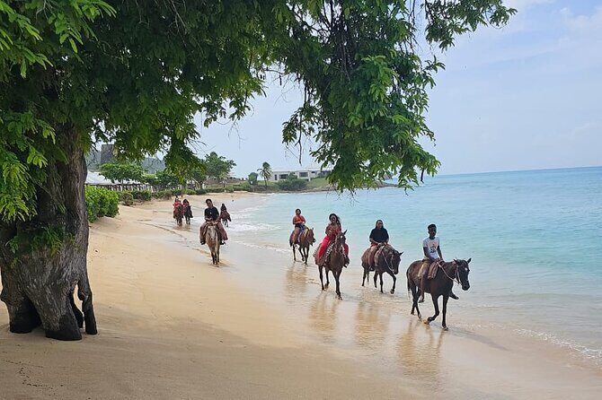 Horseback Riding at Hawksbill Beach in Five islands Antigua - Key Points