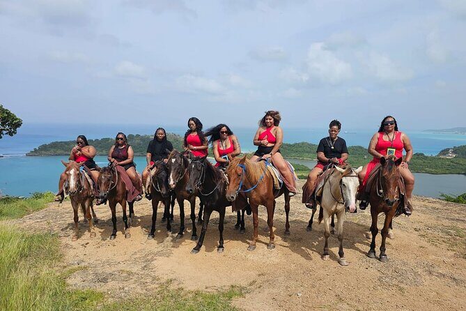 Horseback Riding at Hawksbill Beach in Five islands Antigua - The Horses and the Guides: Making the Experience Special