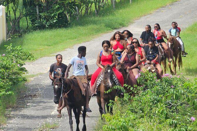Horseback Riding at Hawksbill Beach in Five islands Antigua - Value for Money: Is It Worth the Price?