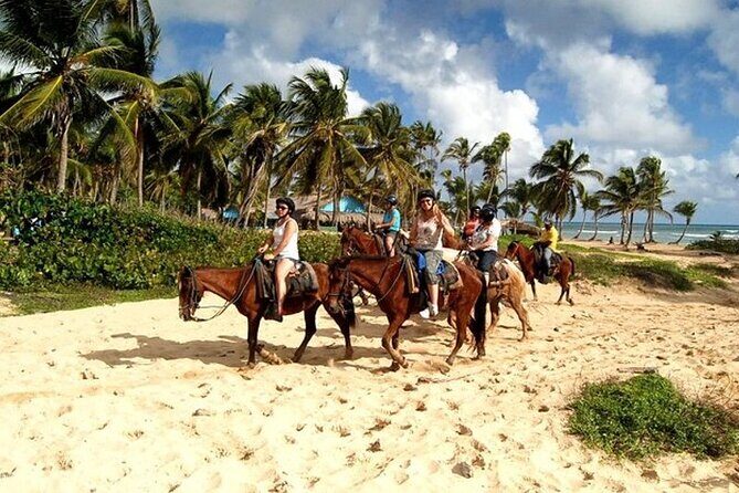 Horseback Riding at Macao Beach - Key Points