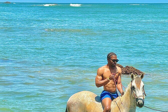 Horseback Riding at Stone Island on the Beach - Introduction: A Scenic Ride for All