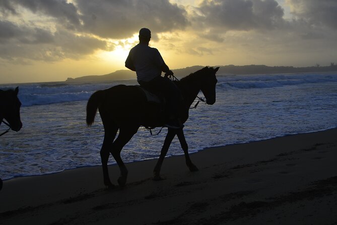 Horseback Riding at Sunrise on the Beach of Punta Cana - Transportation and Pickup Details