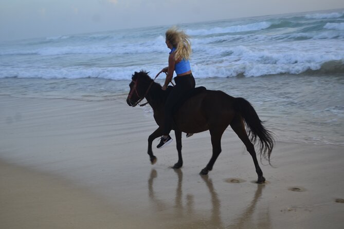 Horseback Riding at Sunrise on the Beach of Punta Cana - Pricing Information