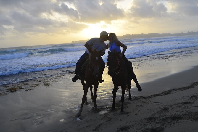 Horseback Riding at Sunrise on the Beach of Punta Cana - Customer Reviews and Feedback