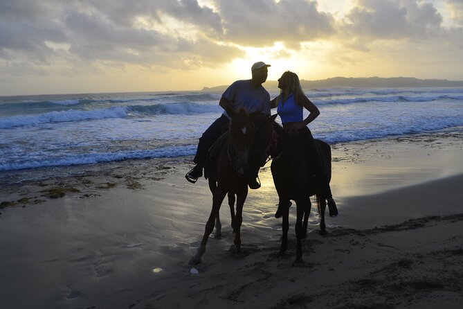 Horseback Riding at Sunrise on the Beach of Punta Cana - Booking Your Adventure