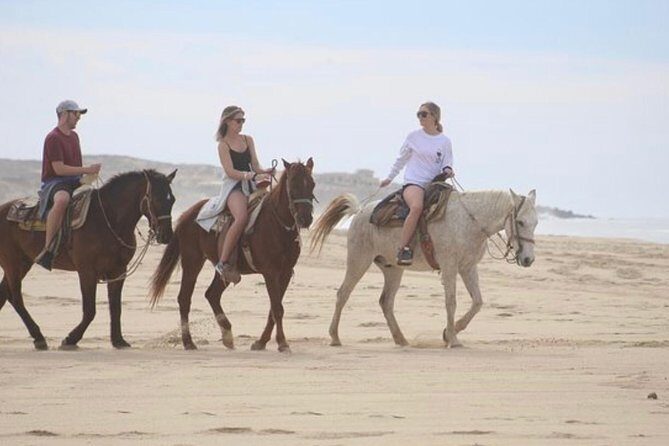 Horseback Riding Beach & Desert Adventure - Who Will Love This Tour?