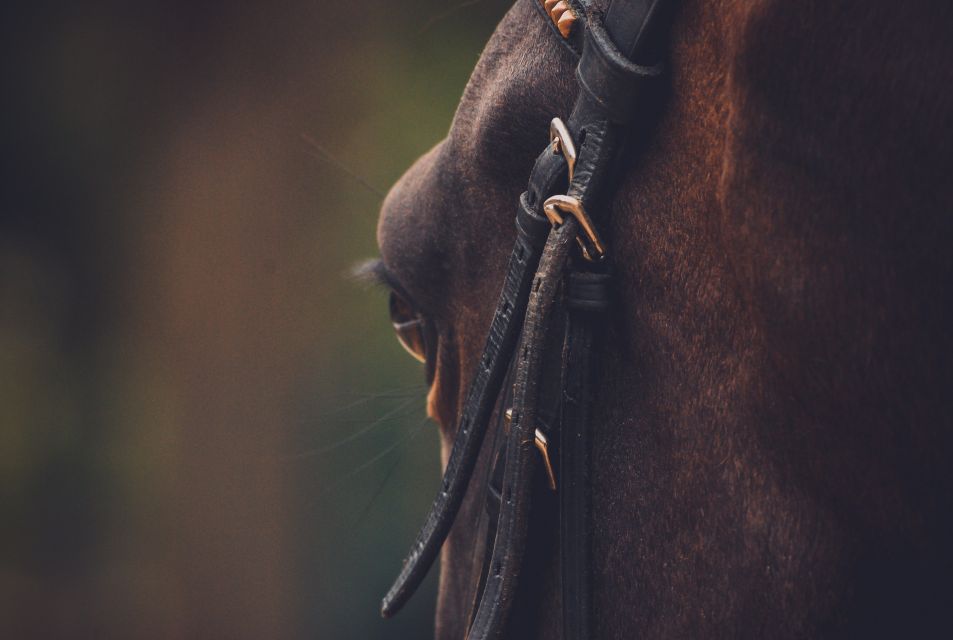 Horseback Riding, Country Bufet and Live Music - Refreshing Beverages Included