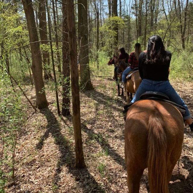 Horseback Riding, Country Bufet and Live Music - Charros Melodies of Mexico