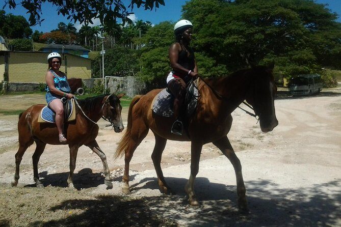 Horseback Riding Dunn's River Falls Adventure from Montego Bay - Key Points