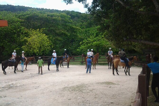 Horseback Riding Dunn's River Falls Adventure from Montego Bay - Is This Tour Right for You?