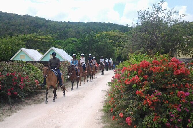 Horseback Riding Dunn's River Falls Adventure from Montego Bay - FAQ