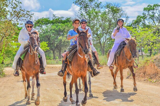 Horseback Riding Excursion to Macao Beach in Punta Cana - An Honest Look at the Experience
