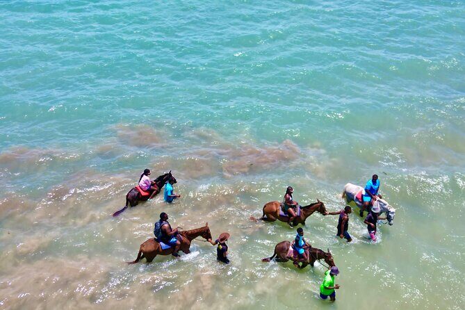 Horseback Riding Experience - Who Should Consider This Tour?