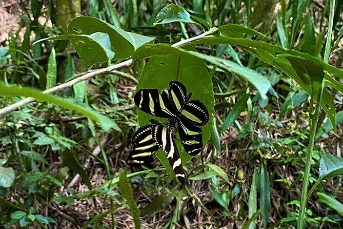 Horseback Riding Experience - Key Points