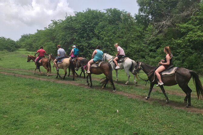 Horseback Riding Experience - Exploring the Details of the Horseback Tour