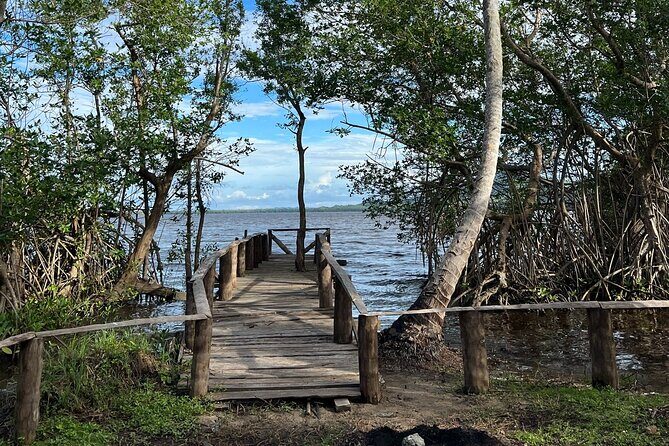 Horseback Riding - Experience between virgin beach and lagoon - Key Points