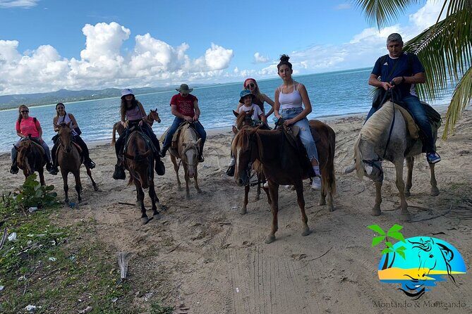 Horseback Riding - Experience between virgin beach and lagoon - Who Is This Tour Best For?