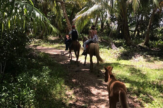 Horseback Riding - Experience between virgin beach and lagoon - FAQ