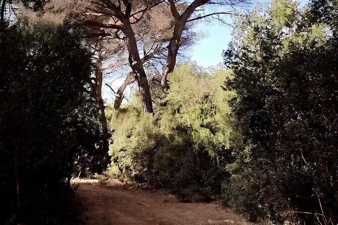 Horseback Riding Experience in Castel Fusano near Rome - The Value and Practical Considerations