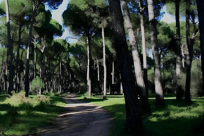 Horseback Riding Experience in Castel Fusano near Rome - Who Will Appreciate This Tour?
