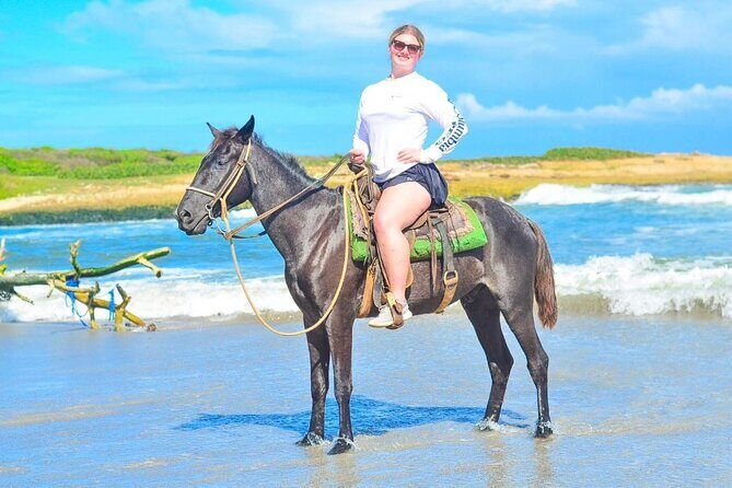 Horseback Riding Experience in Punta Cana - Who Will Love This Tour?