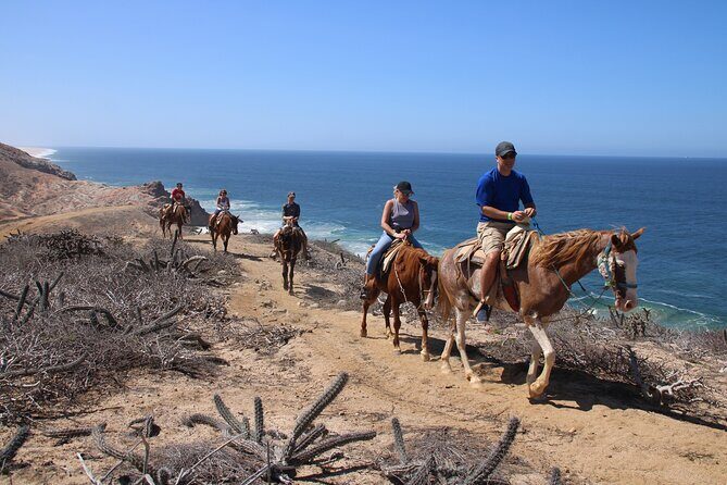 Horseback Riding Experience in Rancho San Cristobal - Key Points