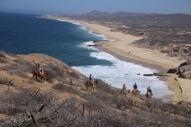 Horseback Riding Experience in Rancho San Cristobal - An In-Depth Look at the Rancho San Cristobal Horseback Riding Tour