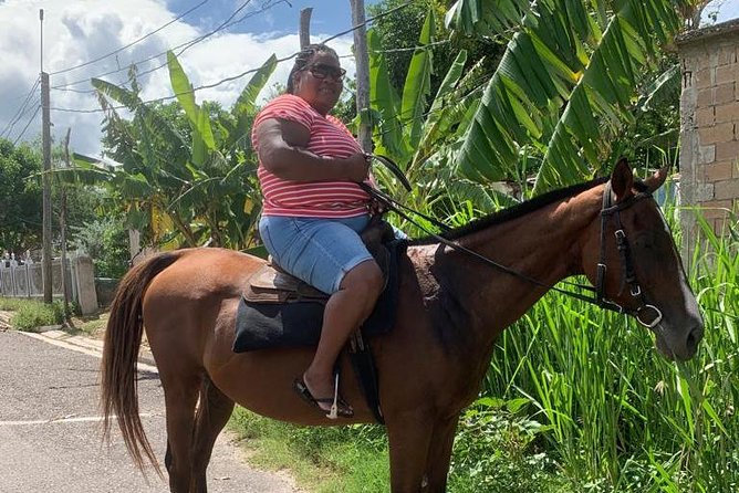 Horseback Riding From Montego Bay - Pricing and Booking Details