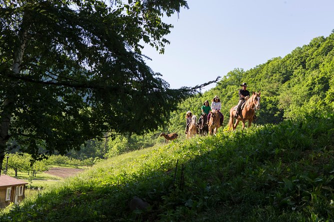 Horseback-Riding in a Country Side in Sapporo - Private Transfer Is Included - Logistics and Transportation