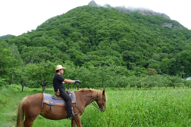 Horseback-Riding in a Country Side in Sapporo - Private Transfer Is Included - What to Expect on the Horseback Riding Adventure