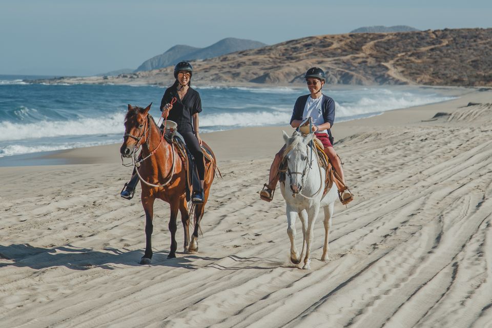 Horseback Riding in Cabo - Pickup and Drop-off