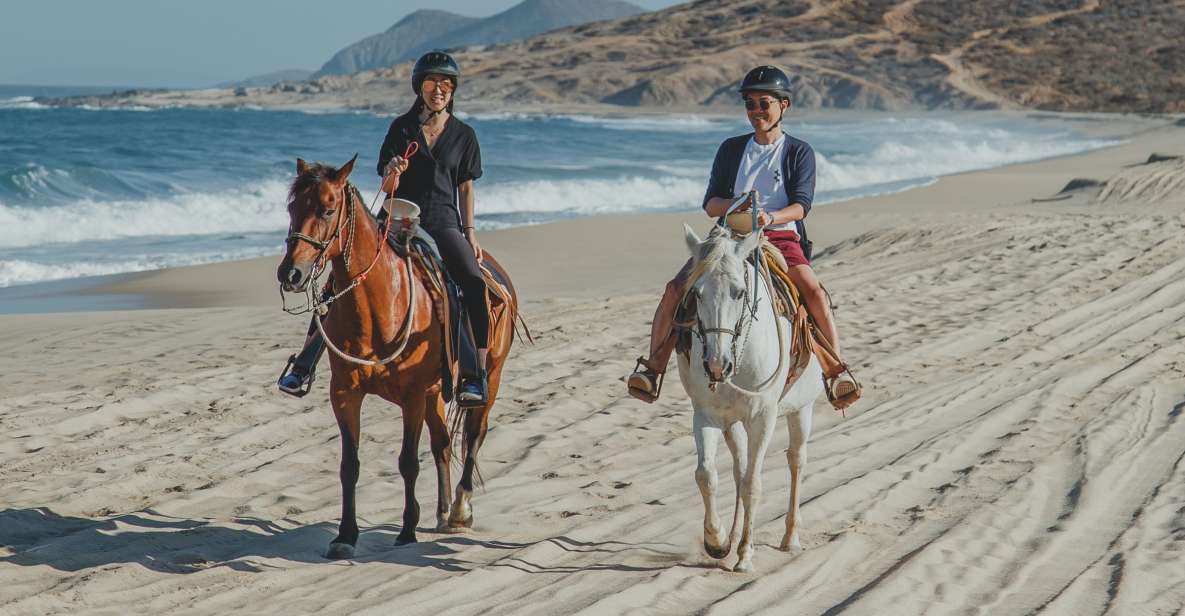 Horseback Riding in Cabo - Explore the Desert