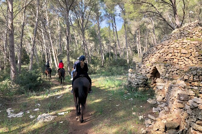 Horseback Riding in Cala Mitjana, Menorca, Spain - Suitability and Accessibility