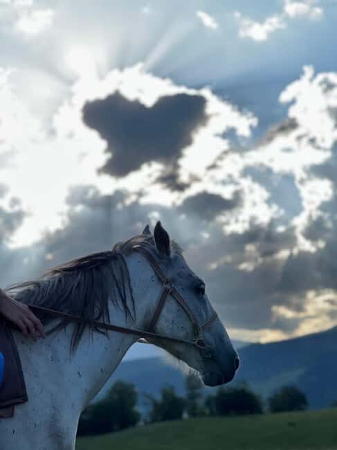 Horseback riding in Dilijan - What to Expect During the Day