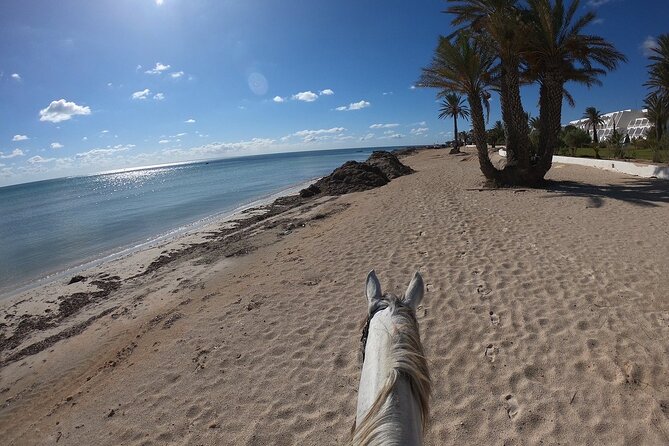 Horseback Riding in Djerba Lagoon - Frequently Asked Questions