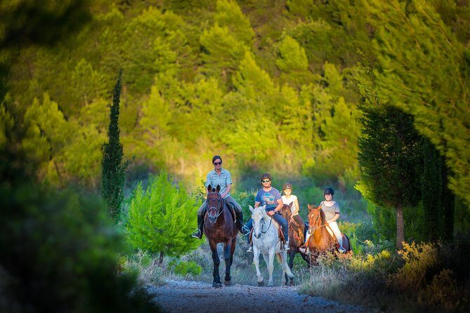 Horseback Riding in Konavle Region with Transport from Dubrovnik - Key Points