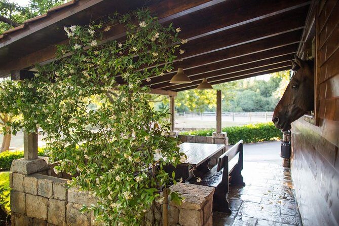 Horseback Riding in Konavle Region with Transport from Dubrovnik - The Sum Up