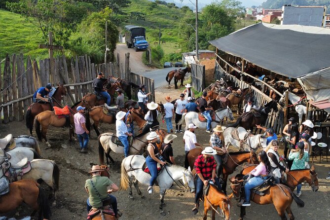 Horseback Riding in Medellin at Best Price - Participation Requirements