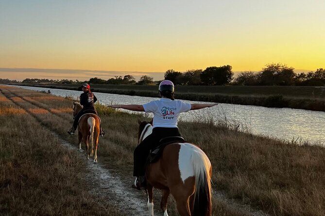 Horseback Riding in Miami - The Scenic and Therapeutic Value of the Ride