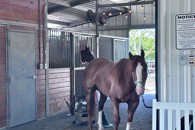 Horseback Riding in Miami - Meeting Point and Practical Details