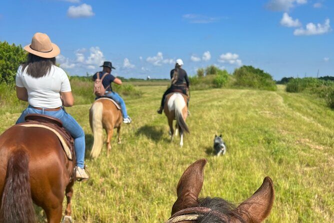 Horseback Riding in Miami - Summary of the Experience