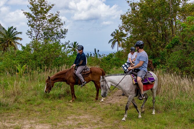 Horseback Riding in St. Lucia - Included in the Tour