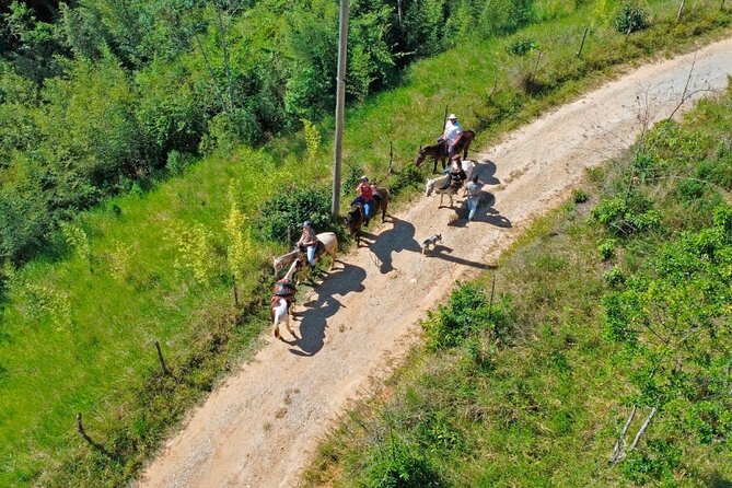 Horseback Riding in the Atlantic Forest by PARATY TOURS - Exploring the Atlantic Forest