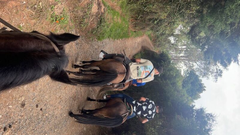 Horseback Riding in the Beautiful Mountains of Medellin - Scenic Locations in Medellin
