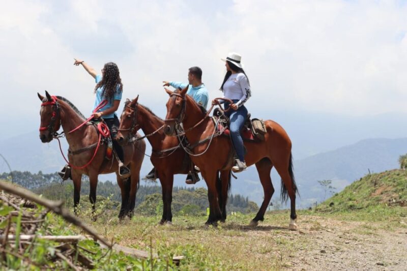 Horseback Riding in the Beautiful Mountains of Medellin - Tour Details and Duration